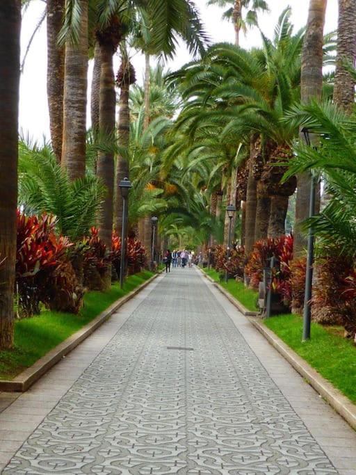 First Line Beach Apartment Puerto de la Cruz  Bagian luar foto